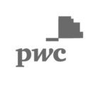 pwc logo